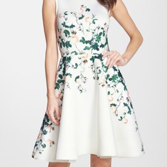 ERIN by Erin Fetherston Dresses & Skirts - ERIN Erin Featherston Rose Garden Dress